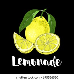 Hand draw of lemon. Vector illustration.