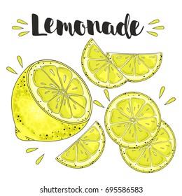 Hand draw of lemon. Vector illustration.