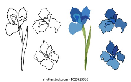 Hand draw line vector flowers set. Iris card. Logo floral design.