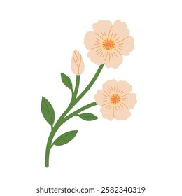 Hand draw mallow vector illustration. Spring yellow flower