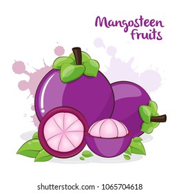 Hand Draw Mangosteen Fruits Isolated And Slice Mangosteen With Leaf On White Background. Vector Illustration.