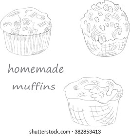 hand draw muffins. EPS10