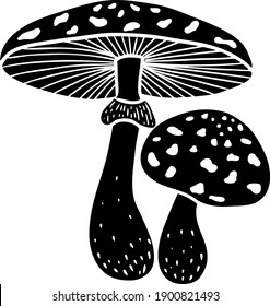 Hand draw mushroom fly agaric. Black and white vector illustration.