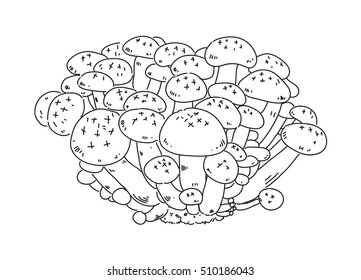 hand draw mushroom, vector