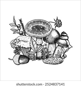 Hand draw mushrooms with acorns, pine cone, moss, berries, snail. Vector illustration