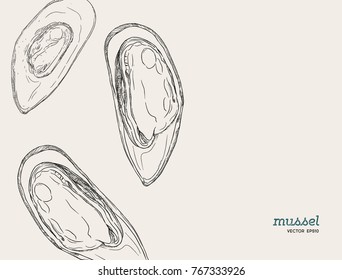 hand draw mussels vector. sketch style seafood set.