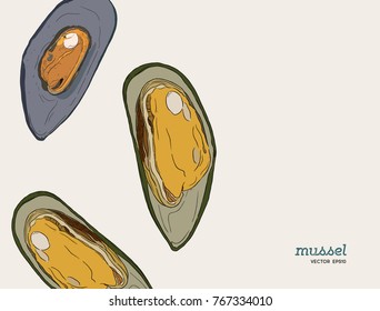 hand draw mussels vector. sketch style seafood set.