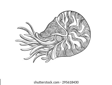 Hand draw of Nautilus in zentangle style
