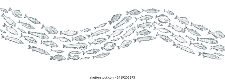 Hand draw ocean and river different fish in cartoon sketch style. Engraved retro illustration. Vintage vector background for banner, cover, menu.