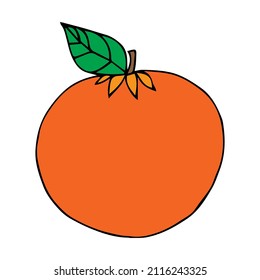Dibujo manual de naranja. Ilustración vectorial.