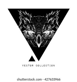 Hand draw owl portrait. It may be used for design of bag, postcard and poster. Vector illustration
