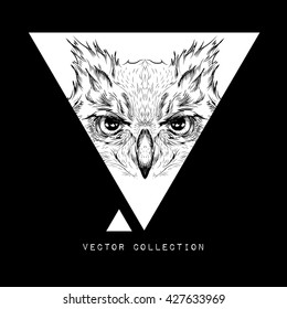 Hand draw owl portrait. It may be used for design of bag, postcard and poster. Vector illustration