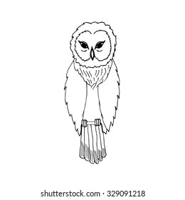 hand draw an owl in the style of the sketch to design cards, textiles, coloring, tattoo white