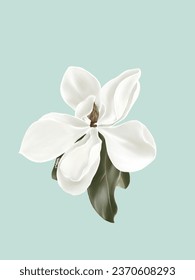 Dibujar a mano y pintar una gran flor de Magnolia, color blanco, imagen de ilustración.