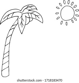 La palmera y el sol dibujan mano. Ilustración vectorial de estilo Doodle. Bordes negros aislados en fondo blanco. Elemento para postales y otros diseños.