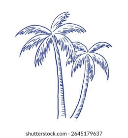 Hand draw palm tree vector illustration. Summer beach vacation clipart in sketch style