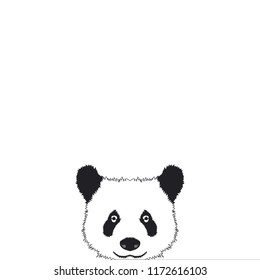 Hand draw of panda in black and white color ob white background