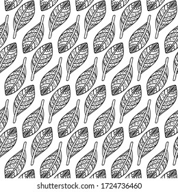 Patrón de dibujo a mano. Ilustración de contorno para colorear. Patrón de hojas exóticas