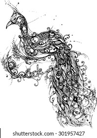 hand draw of peacock