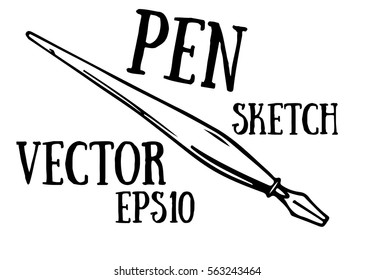 Hand draw pen sketch. Vector illustration.