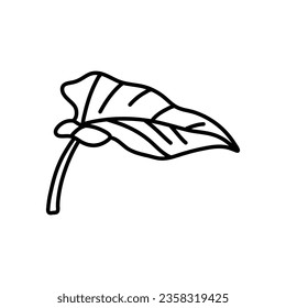 Hand draw of philodendron leaves. Black contours isolated on a white background.