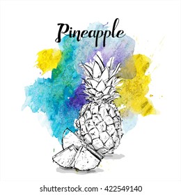 Hand draw of Pineapple. Vector illustration.