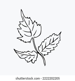 Hand draw plant Outline Vector illustration on white background