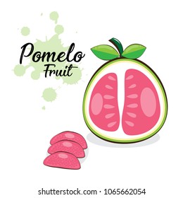 Hand Draw Pomelo Fruits Isolated On White Background. Vector Illustration.