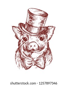 Hand draw a portrait of a little pig wearing a top hat and a the bow tie. Vector sketch illustration. Symbol of a Chinese New Year 2019