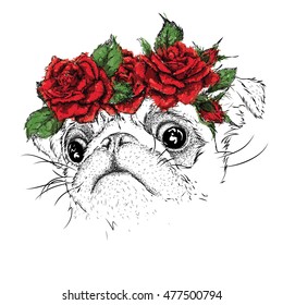 Hand draw portrait of pug wearing a wreath of flowers. Vector illustration