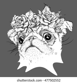 Hand draw portrait of pug wearing a wreath of flowers. Vector illustration