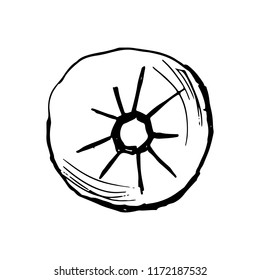 hand draw pumpkin.