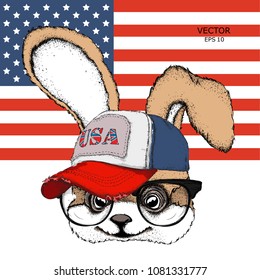 Hand draw rabbit in a USA hat and  in the glasses. Vector illustration