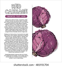 Hand draw of red cabbage. Vector illustration.