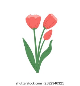Hand draw red tulip vector illustration. Springtime flower 