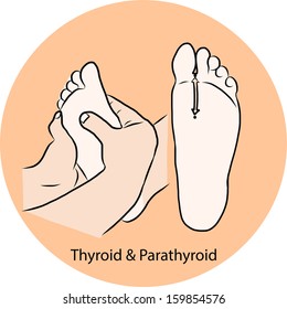 Hand draw Reflexology