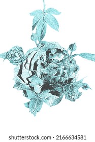 Hand draw rose flower in retro style. Distress vector illustration