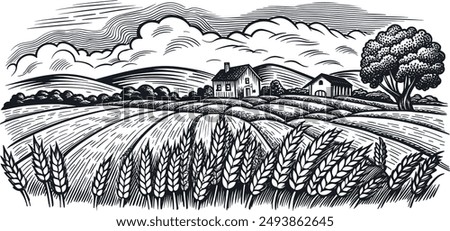 Hand draw rural landscape field wheat