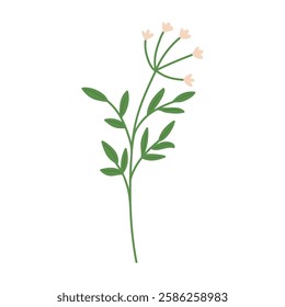 Hand draw rustic wild flower vector illustration.