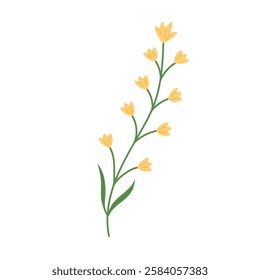 Hand draw rustic yellow wild flower vector illustration.