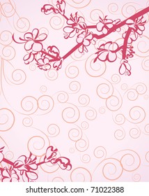 hand draw sakura blossom vector