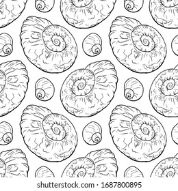 Hand draw seanless pattern with sea shells ammonite for girls, boys, clothes. Funny Ocean wallpaper for textile and fabric. Paleontology style.