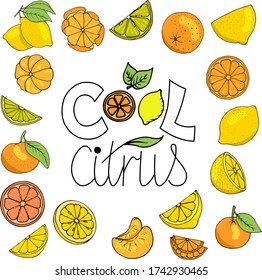 Hand draw set  of citrus, lime, lemon, orange, tangerine, grapefruit with lettering. Vector illustration.