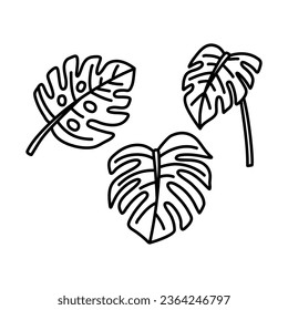 Hand draw set collection of tropical monstera leaves. Monstera Deliciosa. Black contours isolated on a white background.