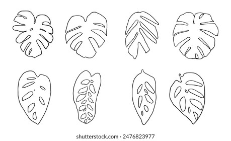Hand draw set collection of tropical monstera leaves. Black contours isolated on a white background for illustration.