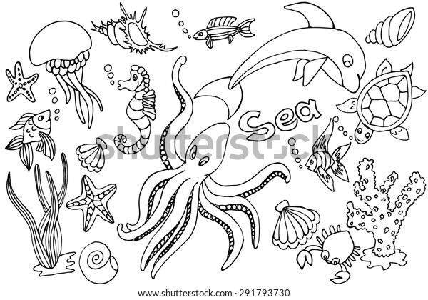 Hand Draw Set Different Marina Creatures Stock Vector (Royalty Free ...