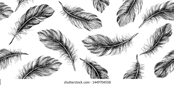 Hand draw set of feathers.