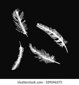 hand draw set of feathers on a black background, can be used as background printing on T-shirts and textile patterns