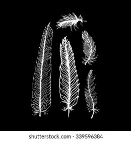 hand draw set of feathers on a black background, can be used as background printing on T-shirts and textile patterns