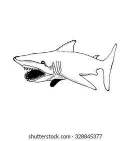 hand draw a shark with an open mouth and sharp teeth in the style of a sketch for posters, cards, tattoos on a white background